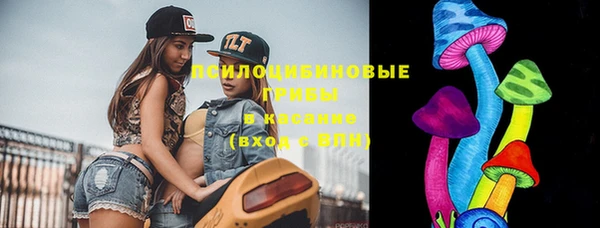ПСИЛОЦИБИНОВЫЕ ГРИБЫ Нефтекумск