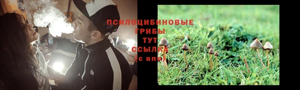 ПСИЛОЦИБИНОВЫЕ ГРИБЫ Нефтекумск