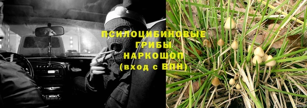 молекула духа Нея