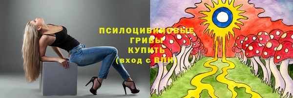 молекула духа Нея